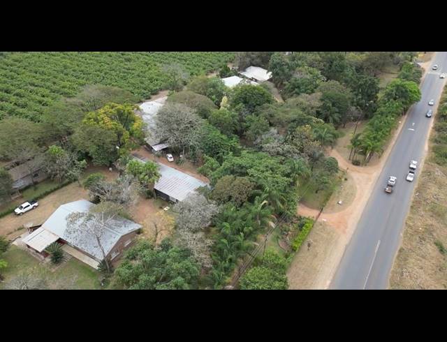 FARM FOR SALE IN LEVUBU